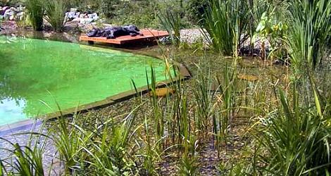 Koupací jezírko v zahradě