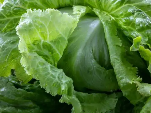 Plněný salát s lučinou, šunkou a nivou